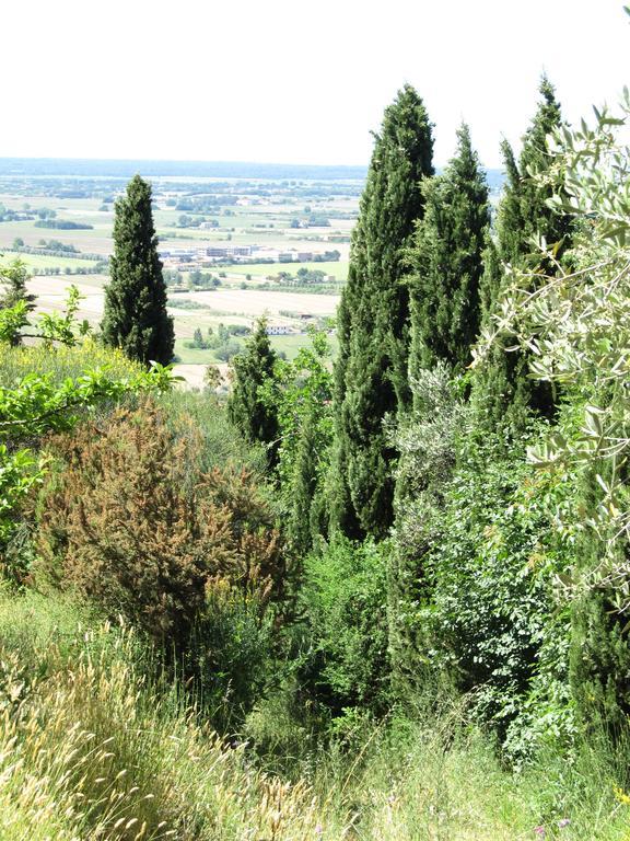 Agriturismo La Grotta San Giuliano Terme Ngoại thất bức ảnh